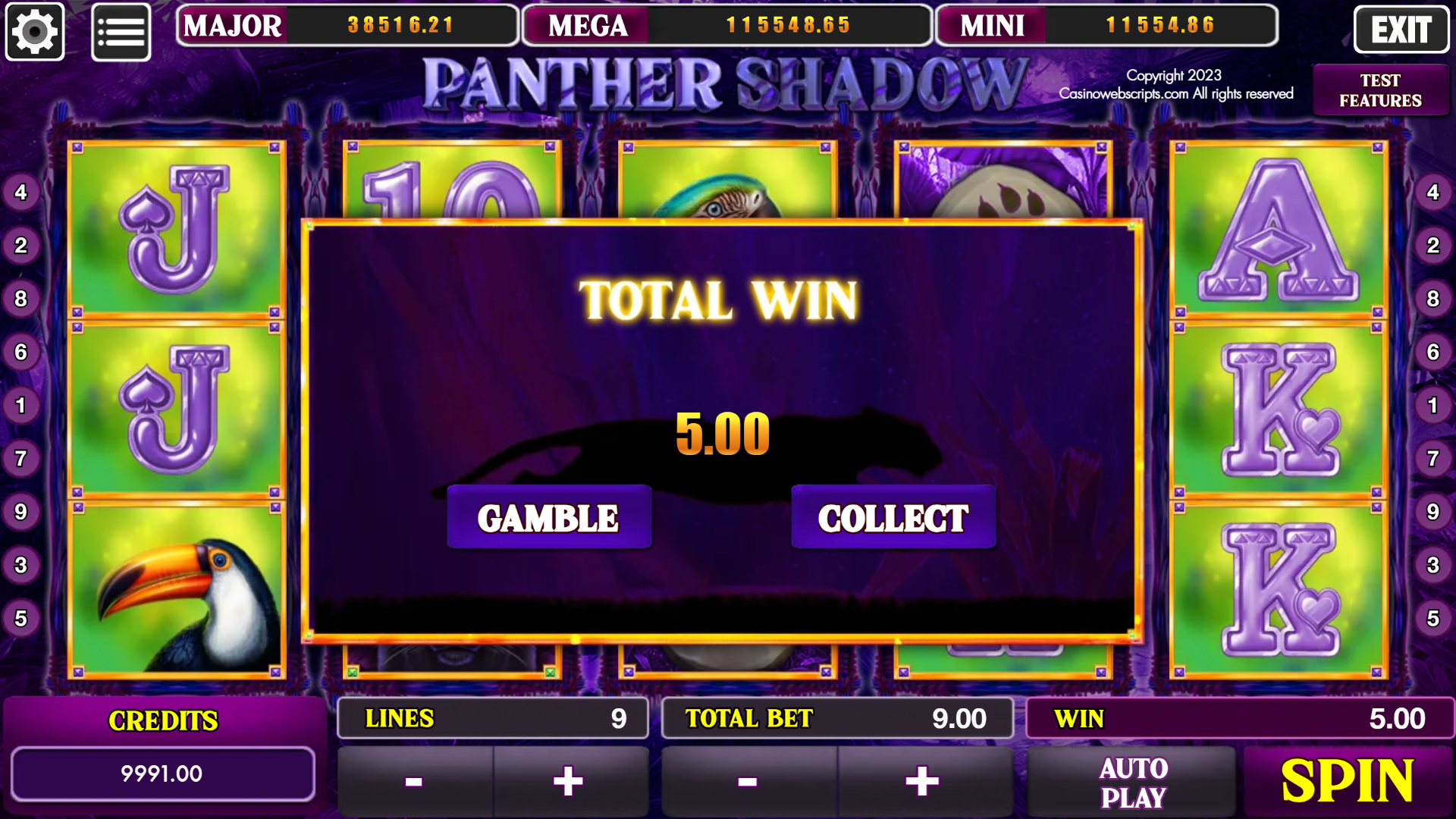 Panther Shadow - Win