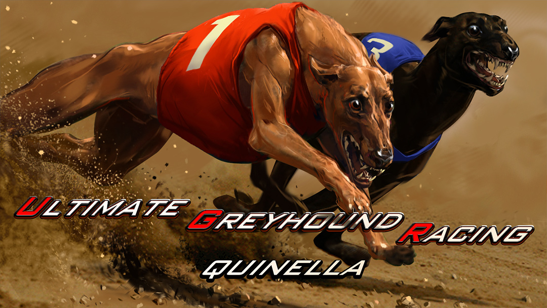 Greyhound Dog Racing Quinella - Mobile and PC - INTRO