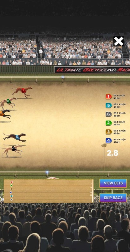 Greyhound Dog Racing Exacta - Mobile and PC mobile